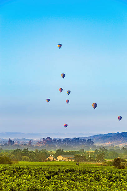 Hot air balloons over Napa Valley Hot air balloons over the Napa Valley, CA in the summer sonoma county stock pictures, royalty-free photos & images