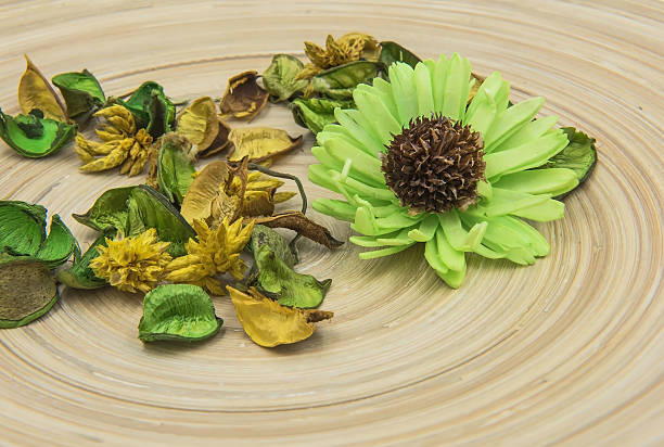 istock Green aromatic dried herbs aromatic flowers 628753042