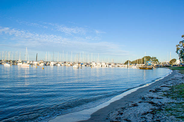 istock Boat on the swan river side in Perth, Australia. 628753642