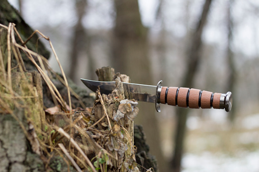 Bushcraft knife stuck in a mossy stump