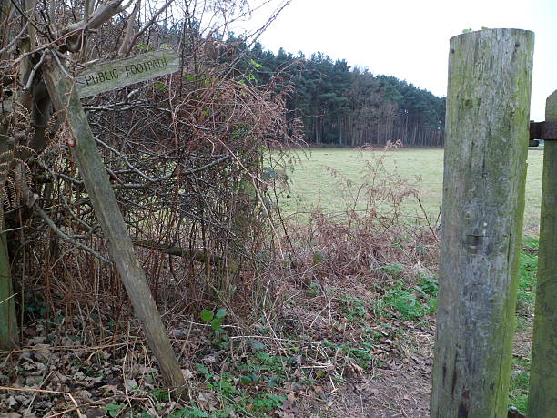 istock Lopsided wooden 'Public Footpath' sign 628765394