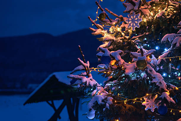 istock Christmas tree decorated with toys and lights in mountains 628767160