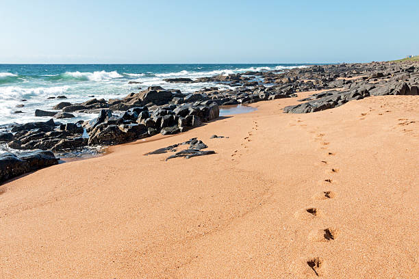 istock Rocks Footprints Ocean and Waves Against Blue Skyline 628767384