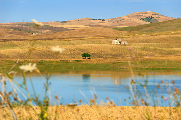 istock RURAL LANDSCAPE SUMMER.Between Apulia and Basilicata: Lake Basentello.Poggiorsini (ITALY) 628768058