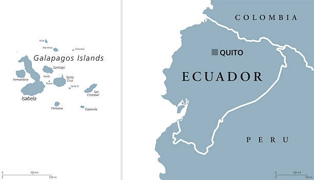 Ecuador and Galapagos Islands Political Map Ecuador political map with capital Quito and the Galapagos Islands in the Pacific Ocean. Republic in South America. Gray illustration with English labeling on white background. Vector. ecuador stock illustrations