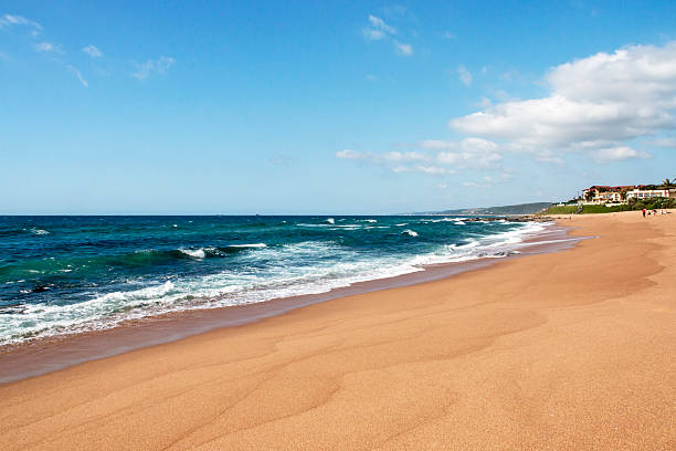 istock Beach Sand Rocks Ocean and Waves in South Africa 628789192