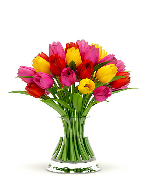 tulipanes de colores en un jarrón de vidrio aislado sobre fondo blanco - tulip bouquet fotografías e imágenes de stock