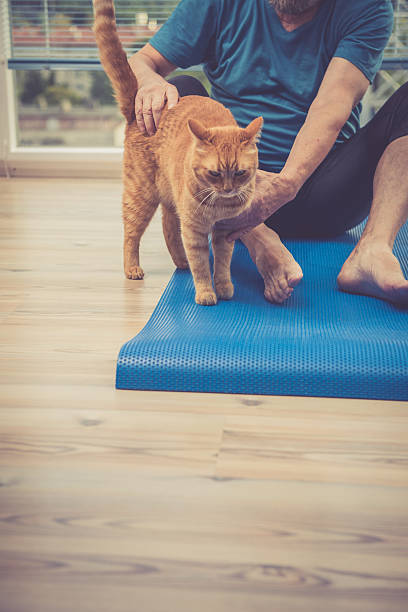 istock Senior Man exercising at Home with his Ginger Cat 628792812
