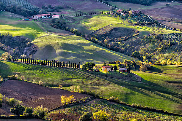 холмы монтепульчиано - montepulciano стоковые фото и изображения