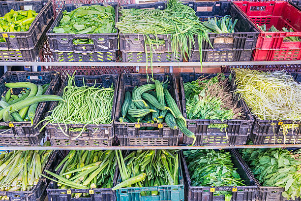 Chinese vegetables on display at the market, water spinach, choy sum, watercress, beans, marrow, ma lan tou, Drumstick, Lemon grass, garlic chives, Ridged Luffa, Sponge Luffa, Mung bean sprouts.