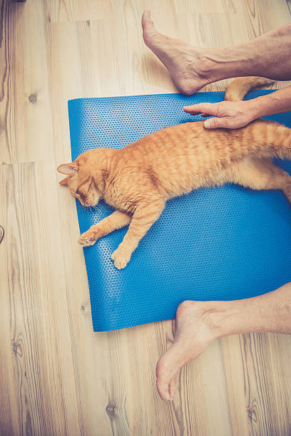 istock Senior Man exercising at Home with his Ginger Cat 628800548