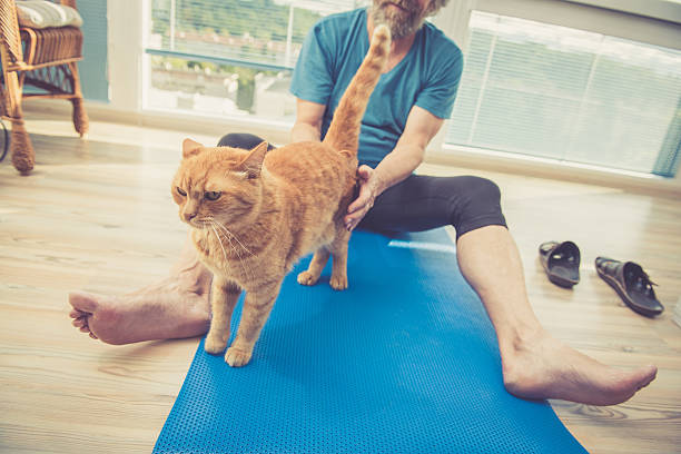 istock Senior Man exercising at Home with his Ginger Cat 628801164