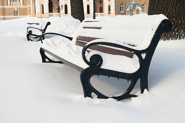istock Benches in a Park covered with snow. 628801306