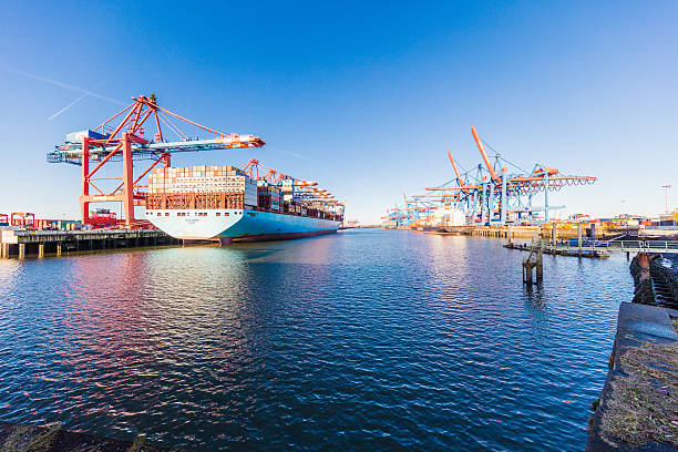 container-terminal in der hamburger hafen. - harbor editorial industrial ship container ship stock-fotos und bilder