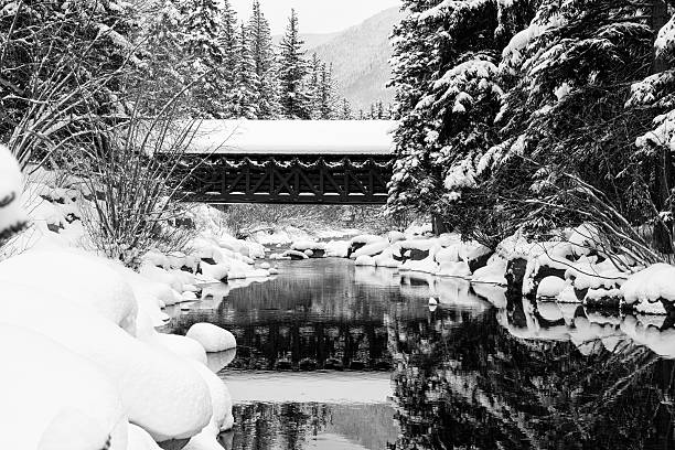 Think snow covered trees and wooden footbridge in St. Paul, Minnesota USA. Winter landscape
