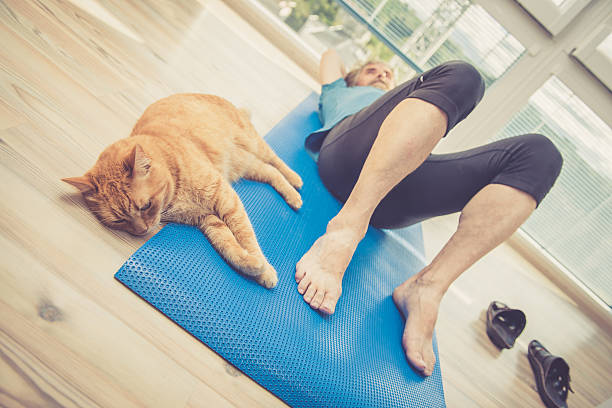 istock Senior Man exercising at Home with his Ginger Cat 628803114