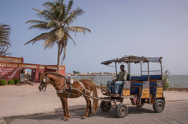 Saint Louis, Senegal - may 29, 2014: Horse carriage parked near the mouth of the river