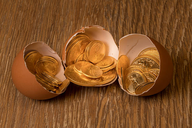 Pure gold coins in eggshell illustrating nest egg