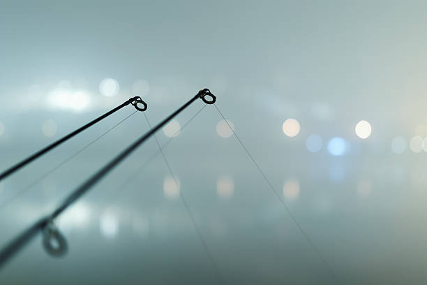 Carp rods in foggy night. Urban Edition. Night Fishing Carp spinning reel angling rods in foggy night. Urban Edition. Night Fishing, Carp Rods, City lights. Foggy night. clothes hanger rod stock pictures, royalty-free photos & images