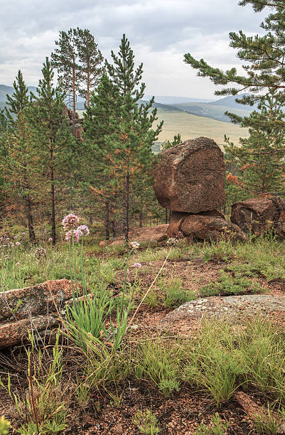 istock Stone on a stone. Summer landscape 628814392