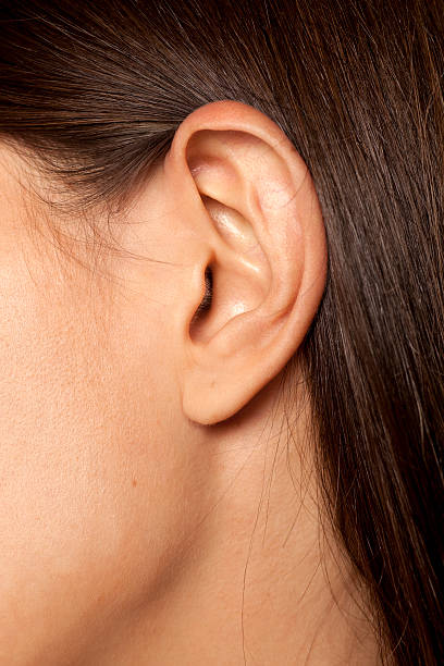 istock female ear close-up 628818458