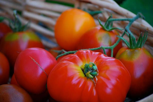 istock Garden Heirloom Tomatoes 628820260