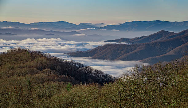 Great Smoky Mountains National Park, from Newfound Gap Road An early morning view of Great Smoky Mountains National Park, from Newfound Gap Road. newfound gap stock pictures, royalty-free photos & images
