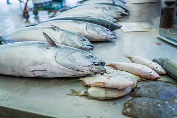 istock Fish Market in Split, Croatia 628822684