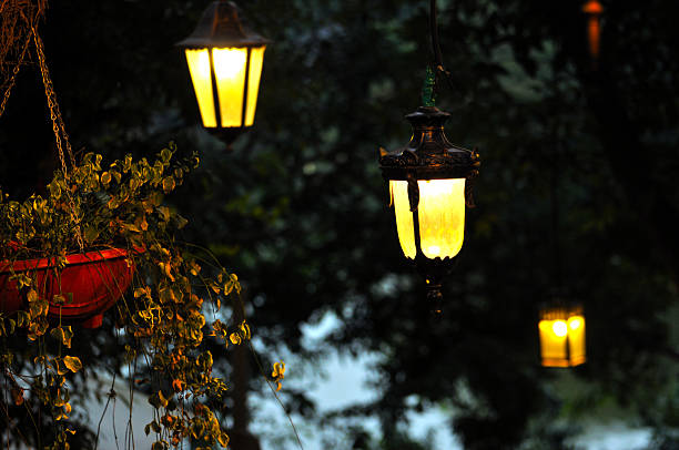 istock Lamps in park 628823138