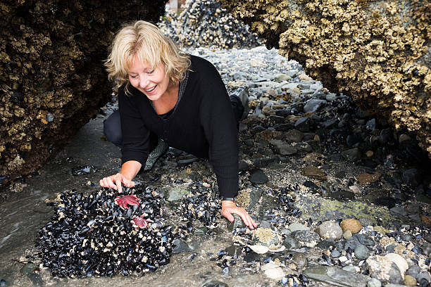 istock Low tide adventure on Juneau coast 628835978