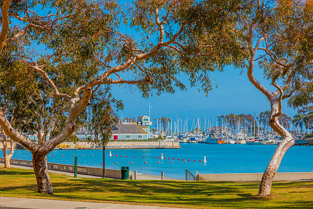 istock California coast shoreline at Dana Point Harbor, CA 628839116