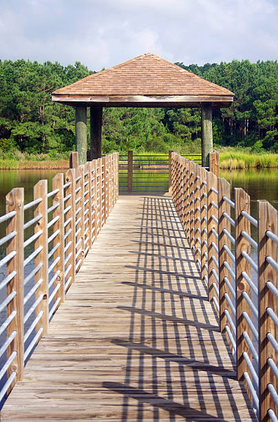 istock Wooden boardwalk and observation point 628839388