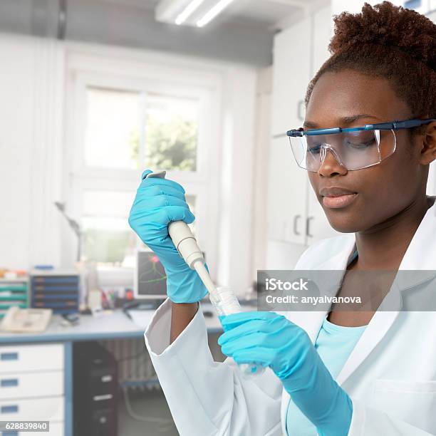 Female Africanamerican Scientist Or Graduate Student Working Stock Photo - Download Image Now