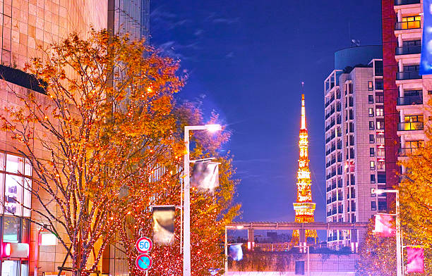 istock Christmas illumination at Roppongi Keikigaka 628846448