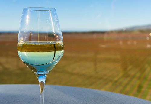 Glass of white wine and blurry vineyard background