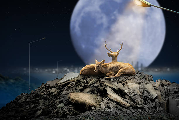 istock Deer Couple in Rubble on a Full Moon Night 628855482
