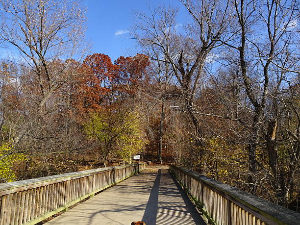 istock wooden bridge in the fall 628857238
