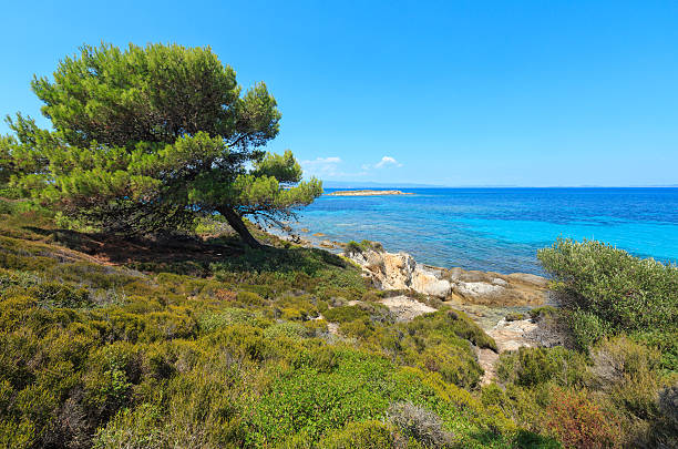 istock Aegean sea coast (Chalkidiki, Greece). 628866298