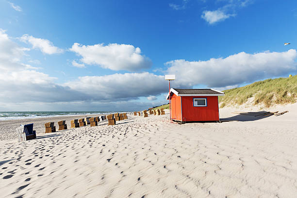 istock Seagull passing by at Wenningstedt Beach/ Germany 628866750