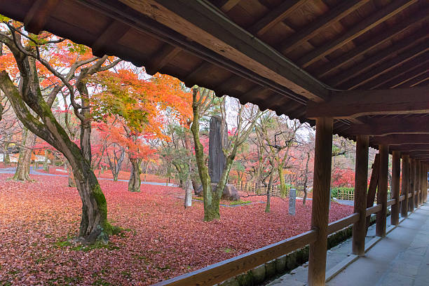 istock Autumn foliage in Tofukuji temple, Kyoto 628867942