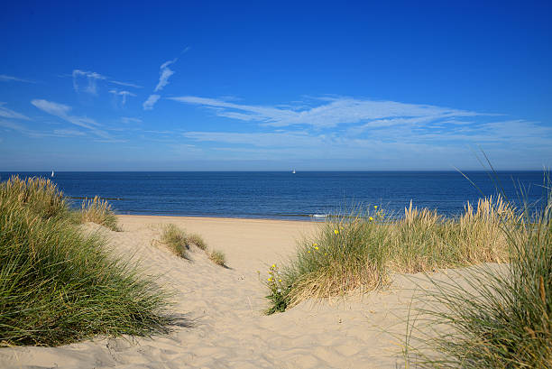 istock Ocean View from Sand Dunes with Marram Grass 628867970