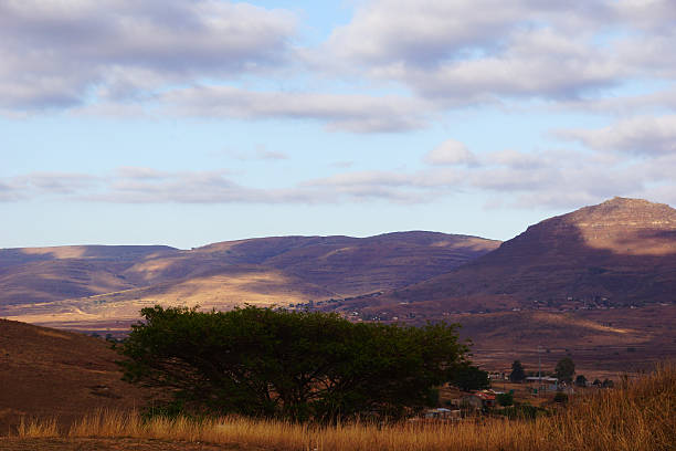 istock view on the African savannah with acacia on foreground 628874194
