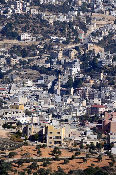 istock Ajloun Castle and around, Jordan 628877402