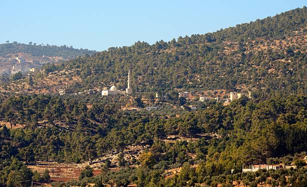 château d’ajloun et ses environs, jordanie - ajlun photos et images de collection