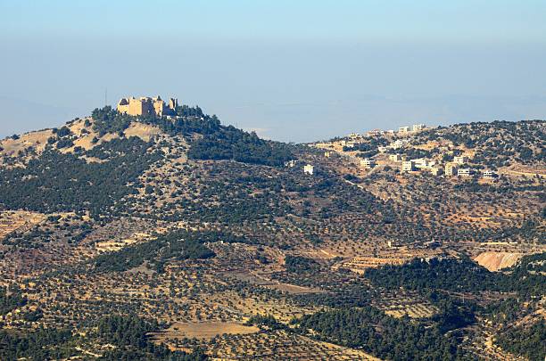 château d’ajloun et ses environs, jordanie - ajlun photos et images de collection