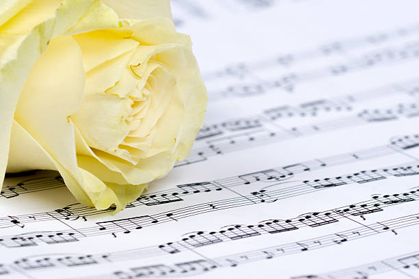 istock music sheet, white rose 628898316