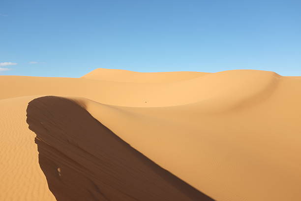 istock Dune Landscape of Sahara Desert 628900724