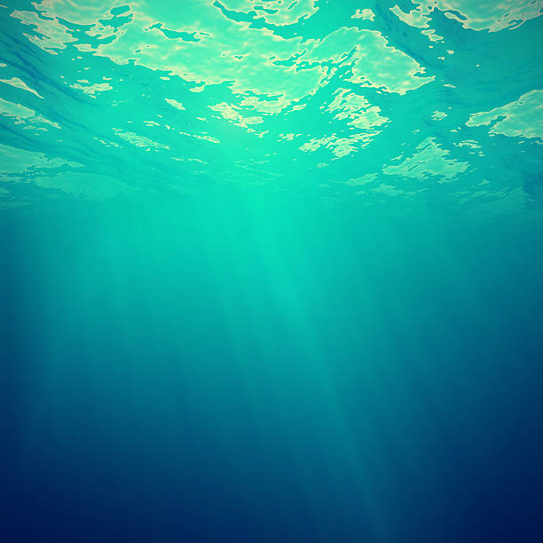 istock Underwater view of the sea surface with light rays. 3d 628908344
