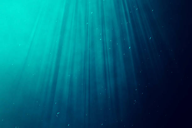 istock Underwater sea, ocean with light rays. 3d illustration 628908366