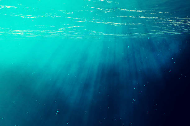 istock Underwater sea, ocean with light rays. 3d illustration 628908386